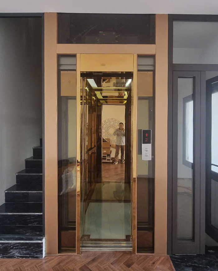 Thang máy Homelift vách sau inox hoa văn ăn mòn trống đồng